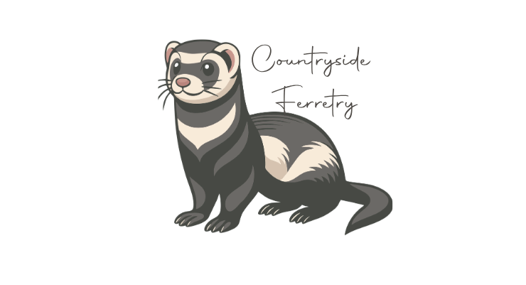 Ferret kits